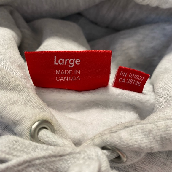 SOLD off platform- Supreme Anti Hooded Sweatshirt Ash Grey - Picture 8 of 9